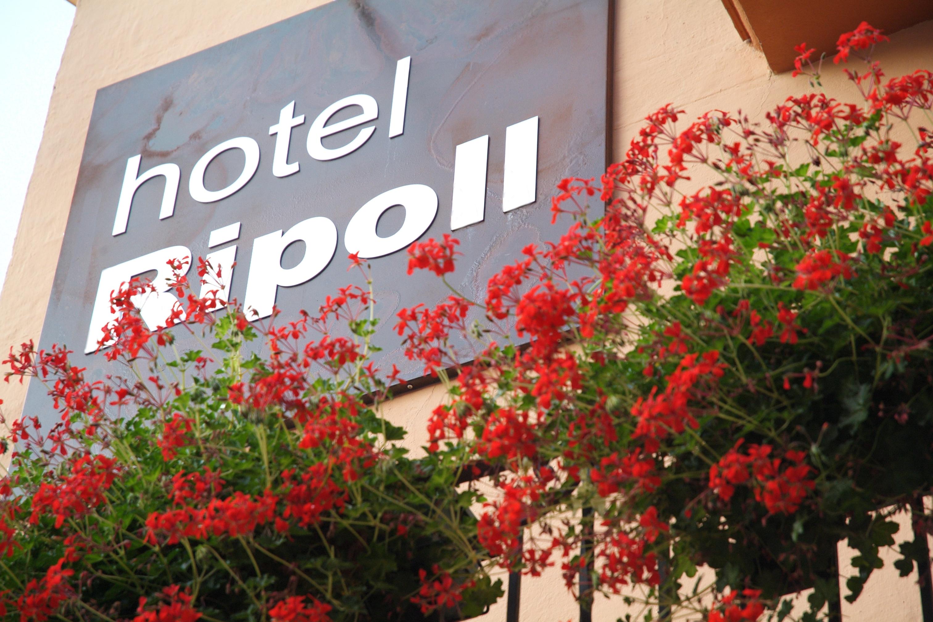 Hotel Ripoll Sant Hilari Sacalm Bagian luar foto