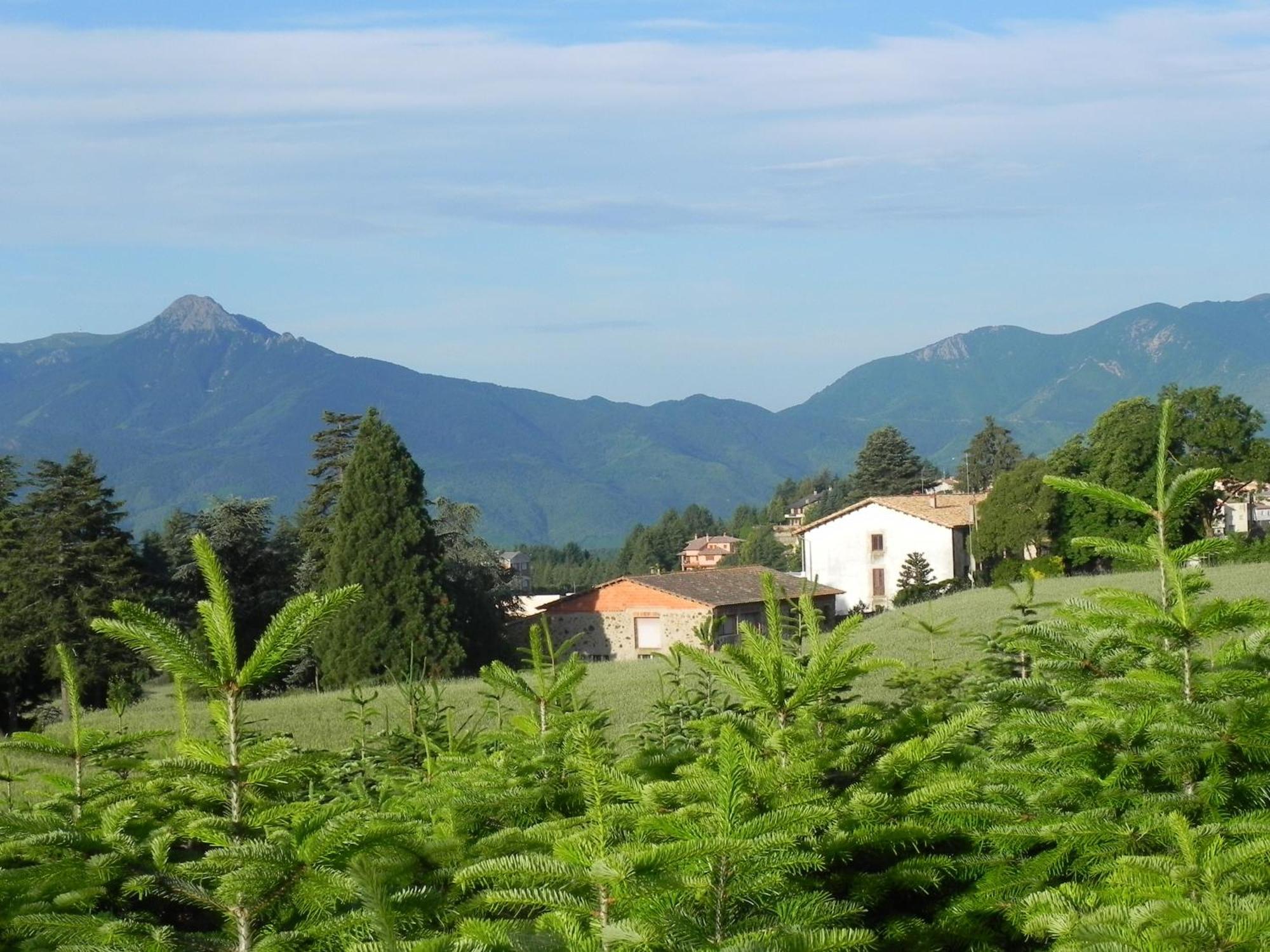 Hotel Ripoll Sant Hilari Sacalm Bagian luar foto